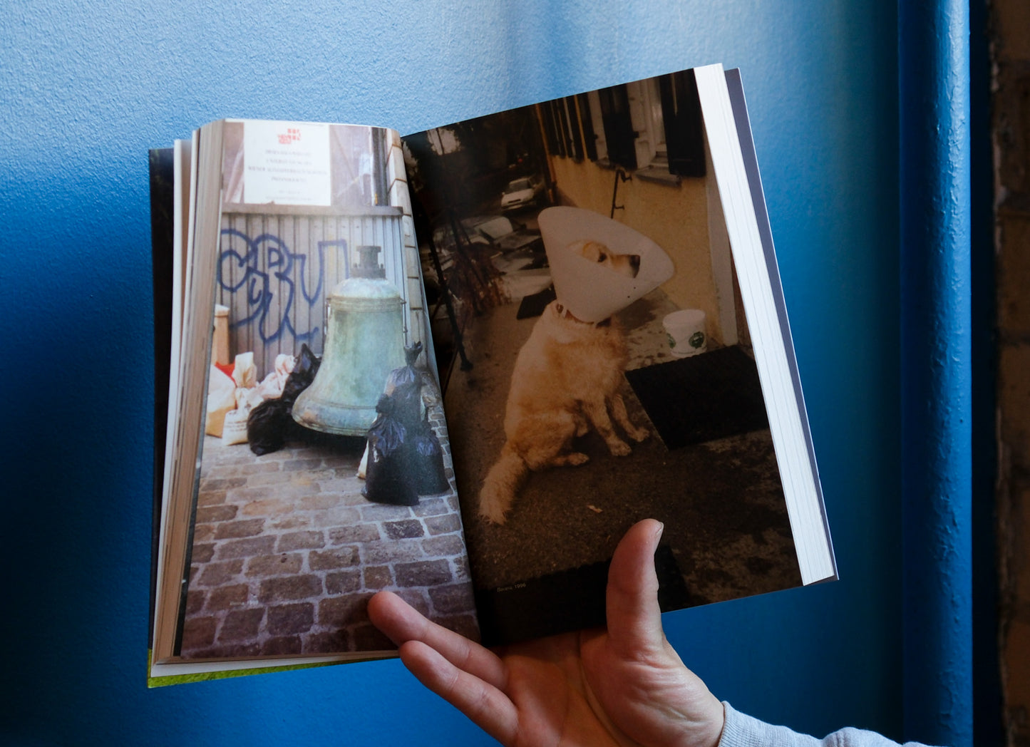 Hand holding a photo album open to two pages with images of a bell and a dog.