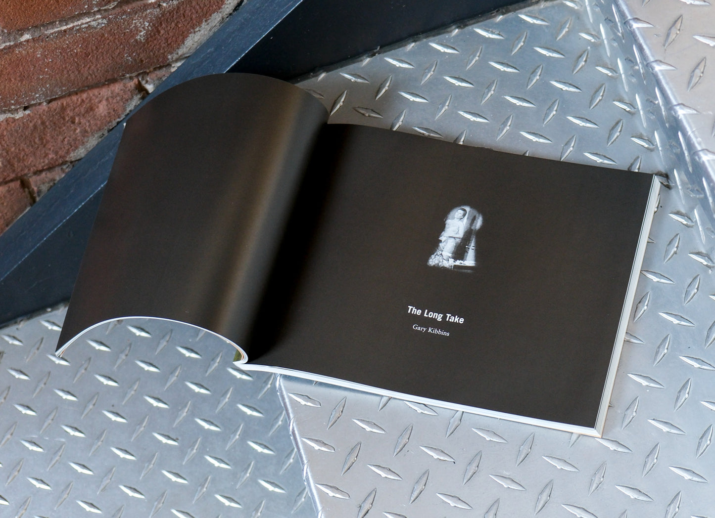 By the Skin of Their Tongues: Artist Video Scripts