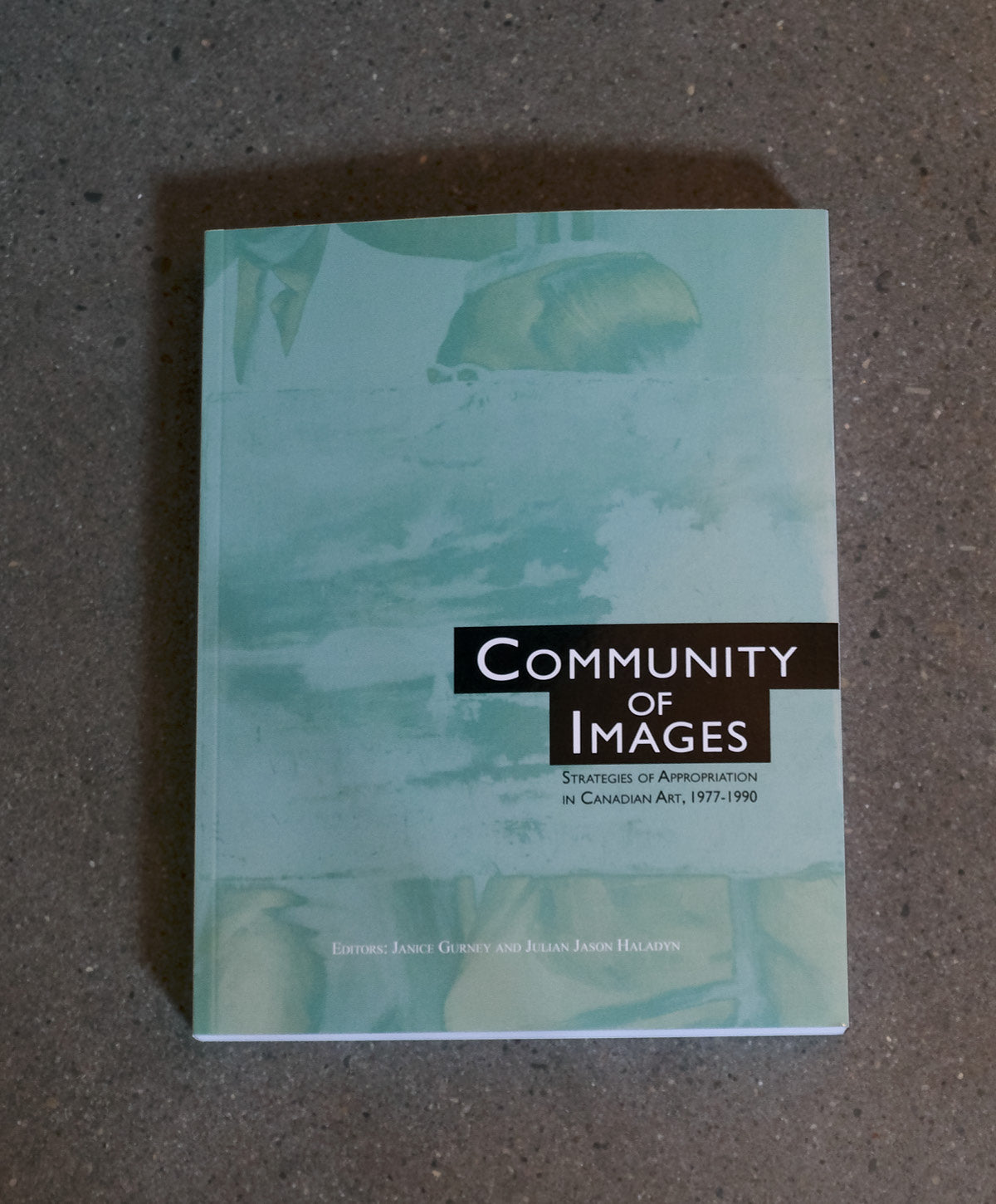 Book titled 'Community of Images' on a textured surface