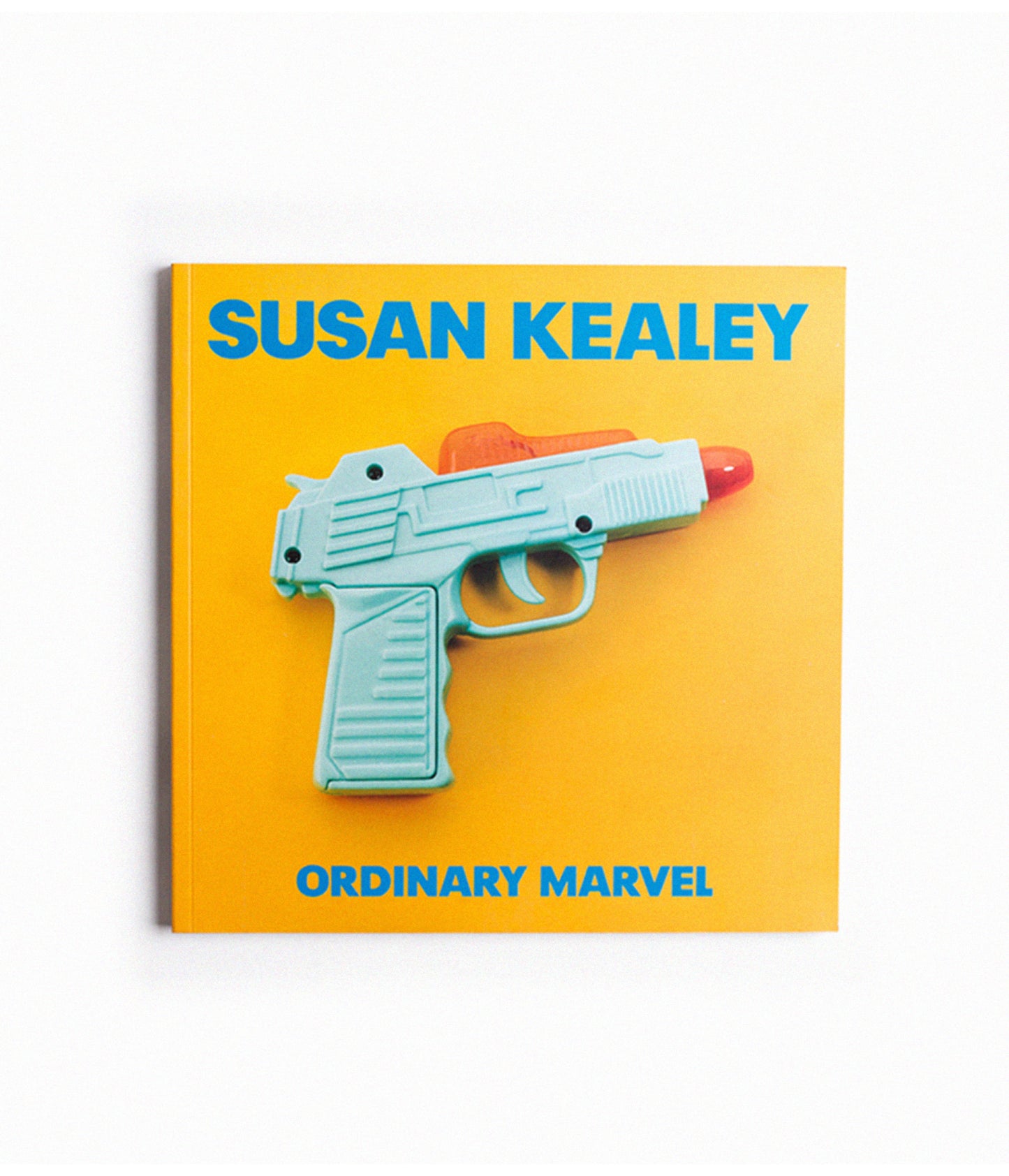 Susan Kealey: Ordinary Marvel