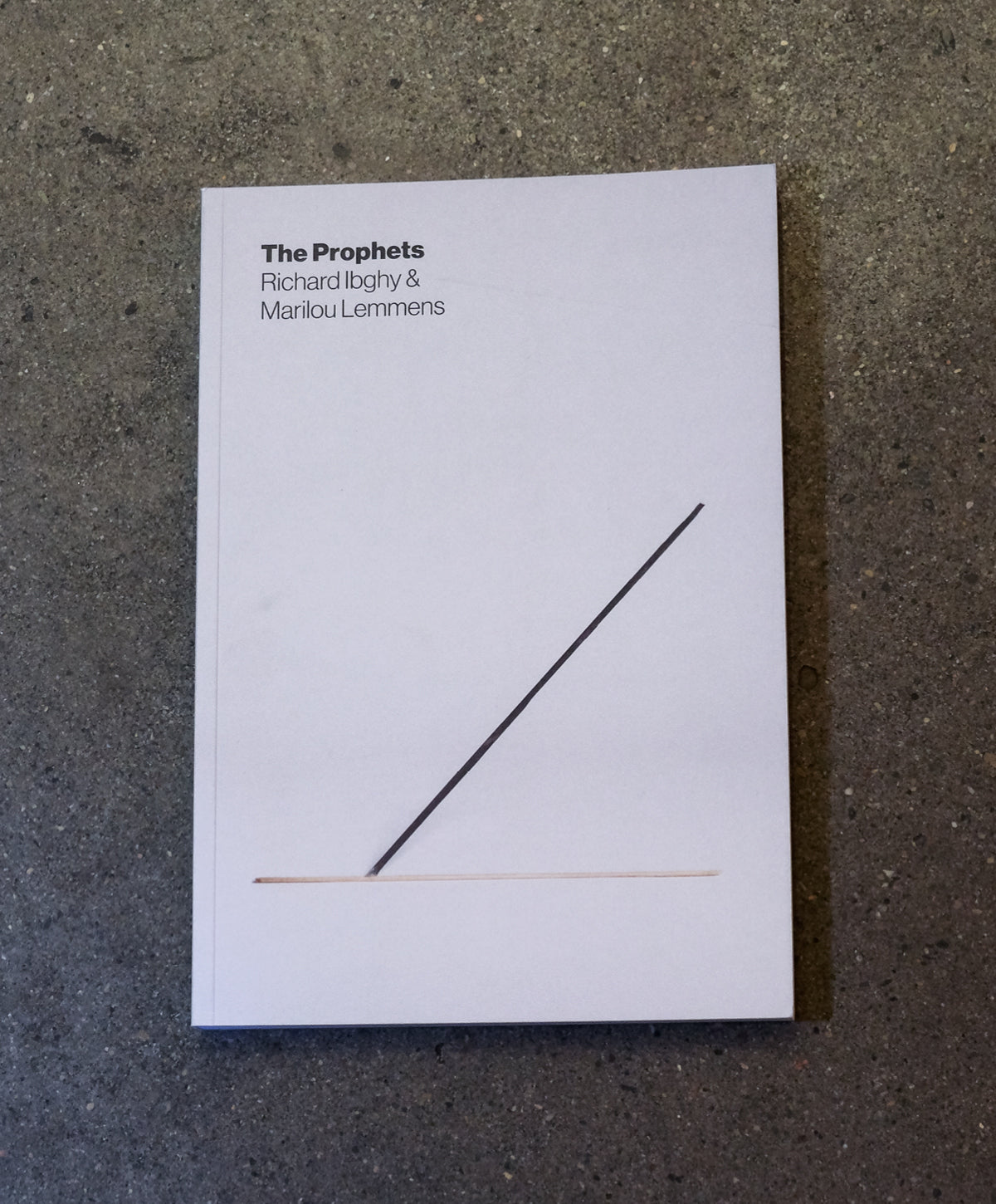 Cover of the book on a concrete surface