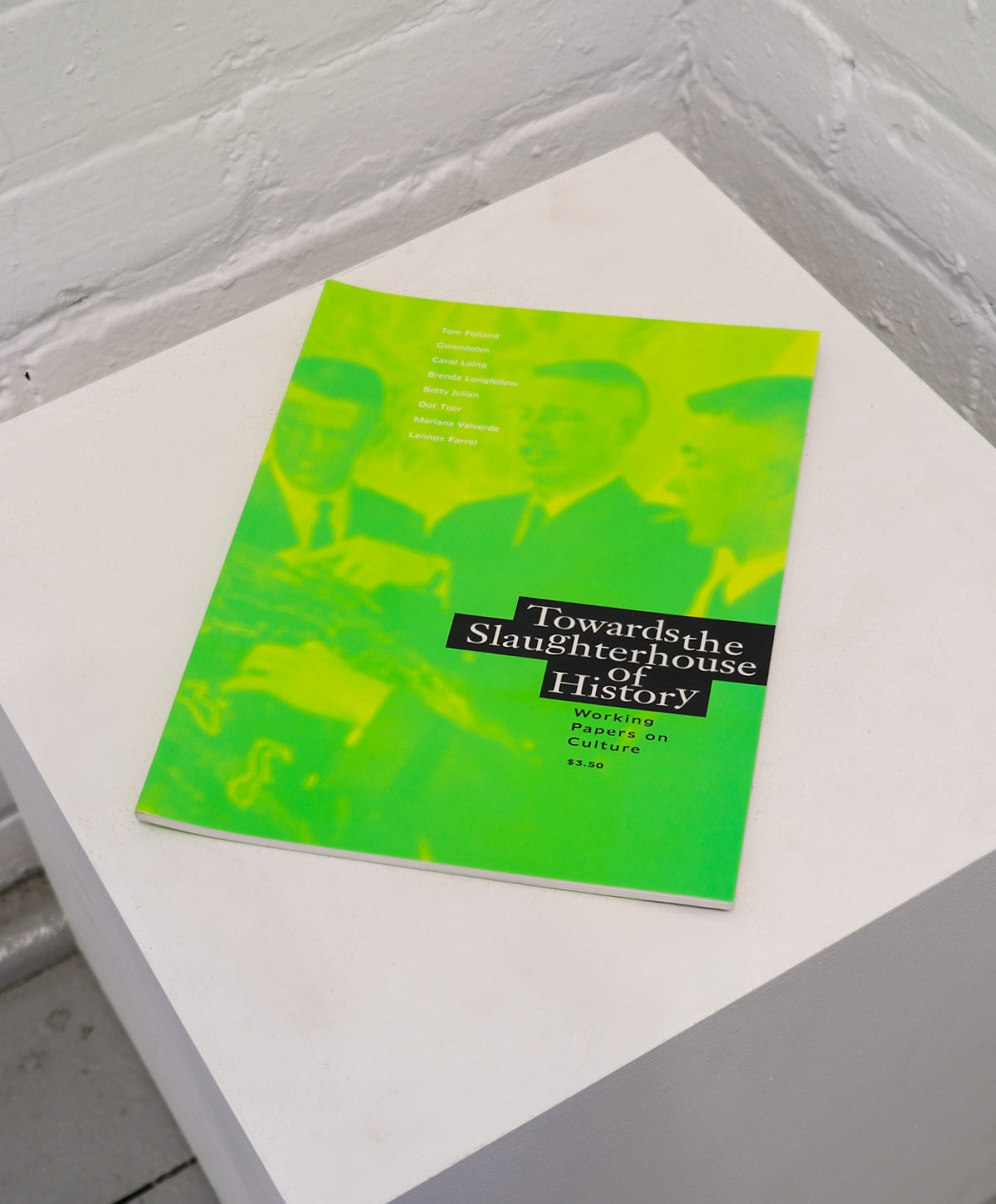Green book titled 'Toward the Slaughterhouse of History' on a white surface with a gray wall background